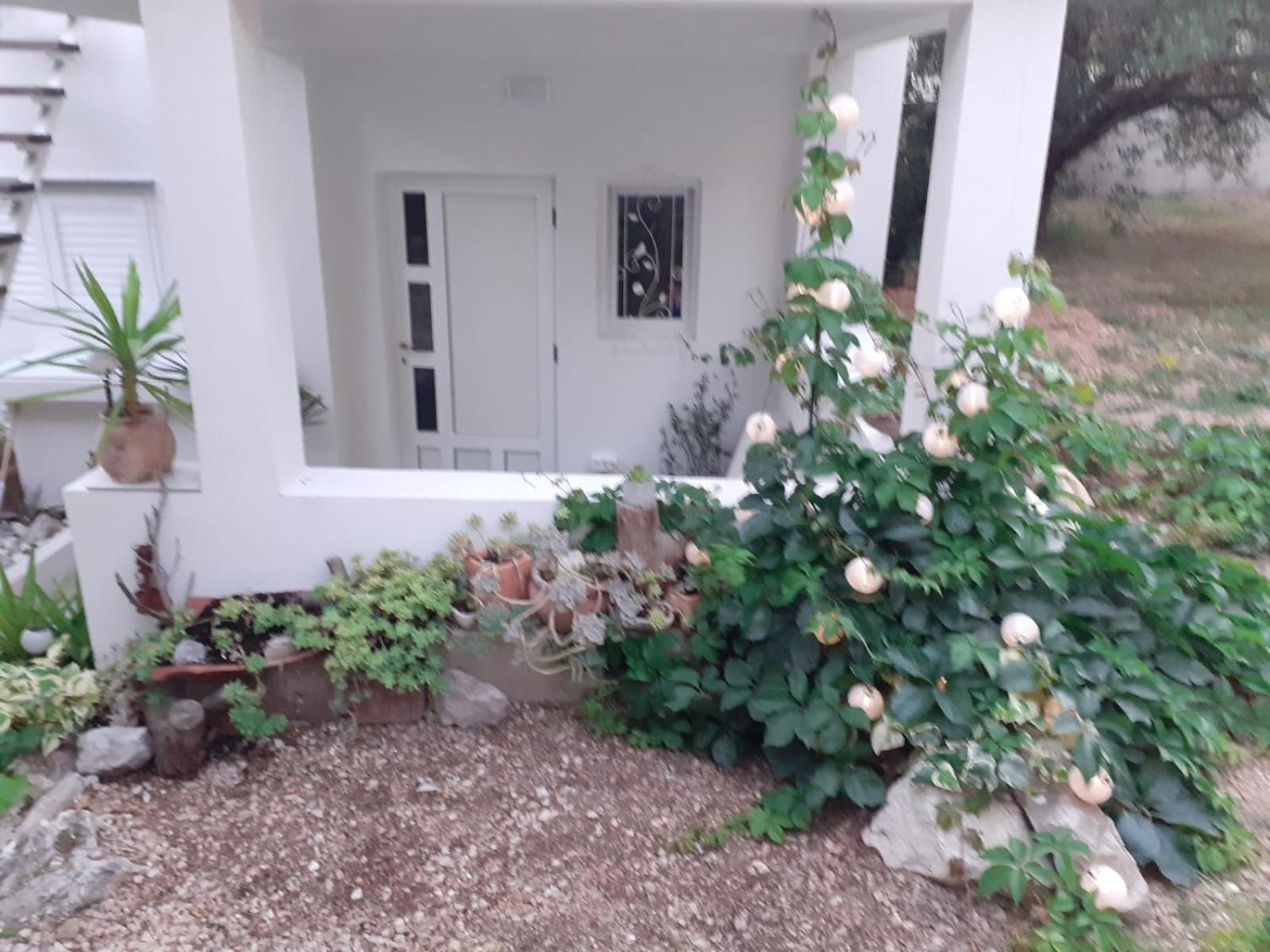 Villa Ana Makarska Værelse billede